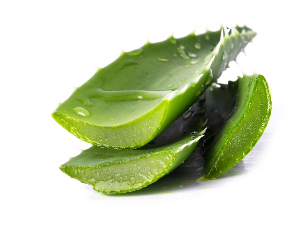 Aloe vera on the table